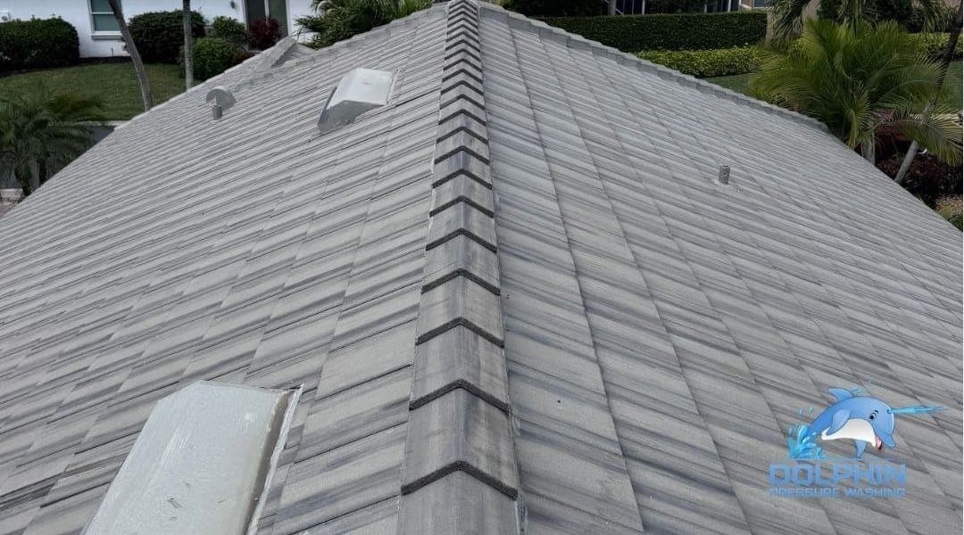 Before and after of a grey tile roof soft washed in Naples, after